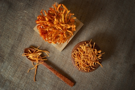 ĐÔNG TRÙNG HẠ THẢO KHÔ