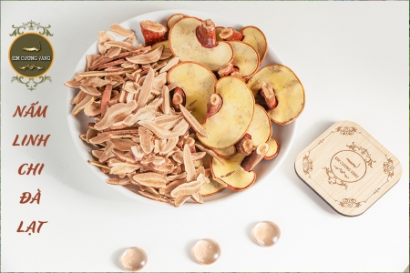 NẤM LINH CHI NON ĐÀ LẠT ( Loại nguyên tai)