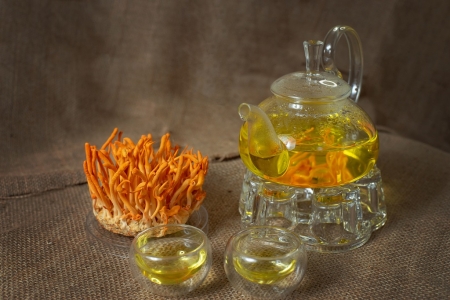 ĐÔNG TRÙNG HẠ THẢO TƯƠI