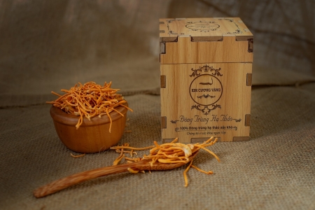 ĐÔNG TRÙNG HẠ THẢO KHÔ