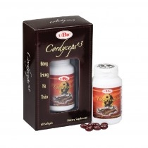 UBB® CORDYCEPS +3 ( Đông trùng hạ thảo )